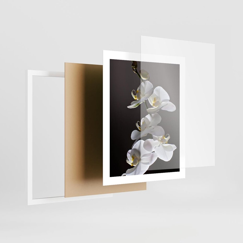 Plakat w ramie 40x50 - SPA: harmonia z kwiatami - spa, kwiaty - rama biała