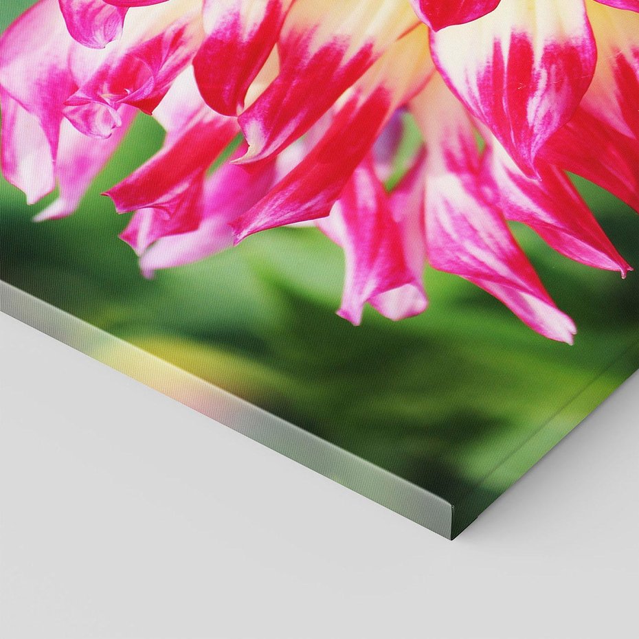 Obraz na płótnie 70x50 - Kwiatowa harmonia - kwiat, kwiaty