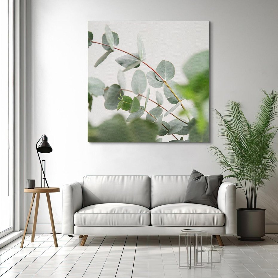 Obraz na płótnie 60x60 - Liście eukaliptusa w naturze - eukaliptus, liście