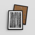 Plakat w ramie 30x40 - Kontrast Monochromatyczny - brzozy, czarno - rama czarna