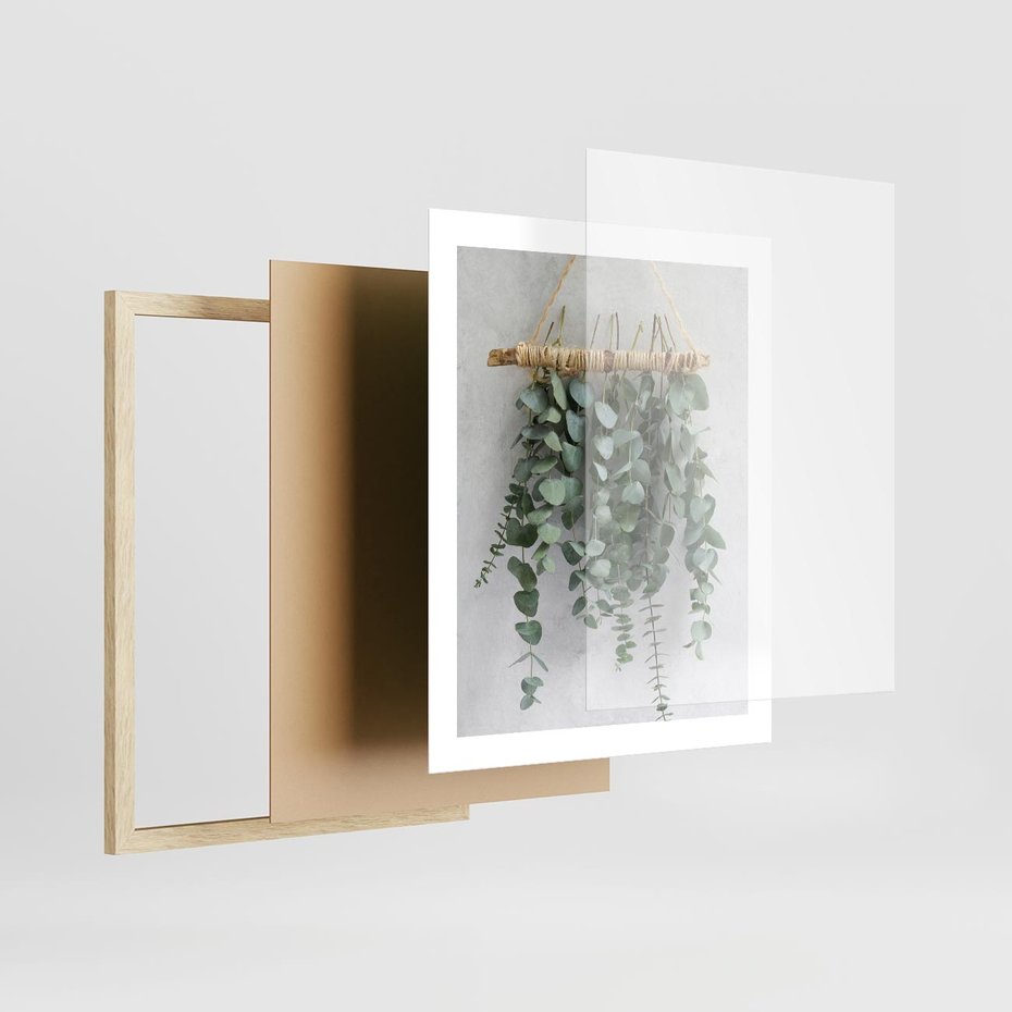 Plakat w ramie 40x50 - Uwodzicielska zieleń eukaliptusa - eukaliptus, zielone - rama drewno