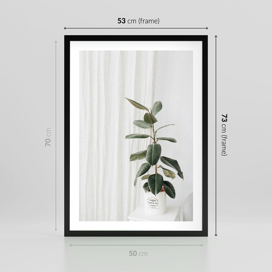 Plakat w ramie 50x70 - Kwiat w Bieli - kwiat w doniczce, białe wnętrze - rama czarna