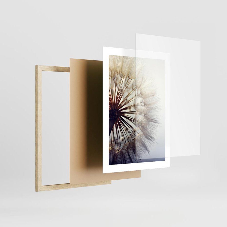 Plakat w ramie 30x40 - Makro piękno dmuchawca - makro, dmuchawiec - rama drewno