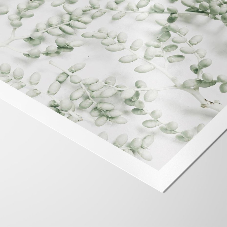 Plakat bez ramy 21x30 - Delikatność Zieleni - zielone gałązki, listki