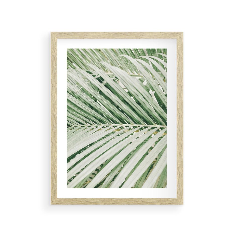 Plakat w ramie 30x40 - Liście Palmy: Egzotyczna Grafika - palma, liście palmy - rama drewno