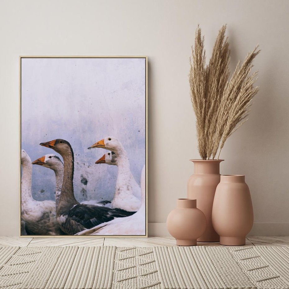 Obraz w ramie 80x120 - Spotkanie Wśród Piór - uchwycony moment, fotografia - rama drewno