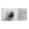 Obraz na płótnie 120x60 - Oko Mocy - czarno białe zdjęcie, zbliżenie makro na oko konia