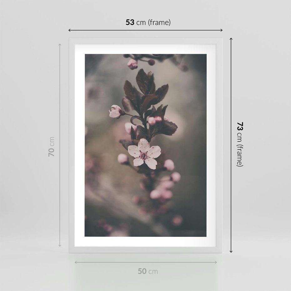 Plakat w ramie 50x70 - Przemijający Urok - kwitnąca, wiśnia - rama biała