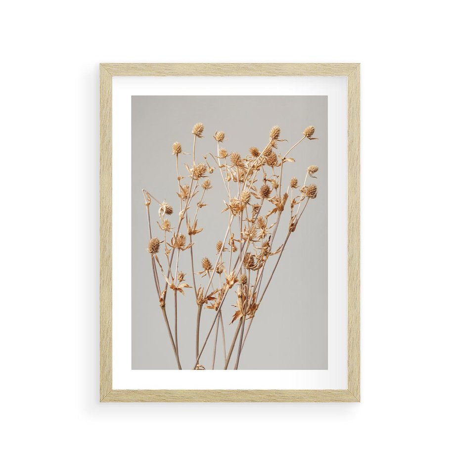 Plakat w ramie 30x40 - Delikatne gipsówki - gipsówka, suche - rama drewno