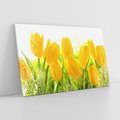 Obraz na płótnie 120x80 - Tulipany - szczyt kwiatowego piękna - tulipany, kwiaty