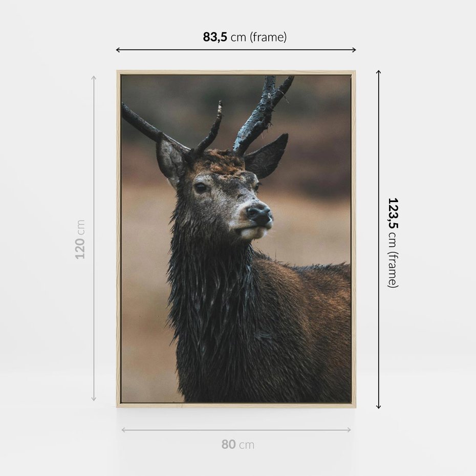 Obraz w ramie 80x120 - Spokojny jeleń - jeleń, las - rama drewno