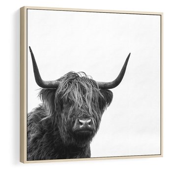 Obraz w ramie 80x80 - Moc i Spokój - amerykańskie bydło, byk - rama drewno