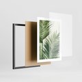 Zestaw obrazy w ramie 50x70 galeria - tropikalne, liście, palmy, bananowiec - rama czarna