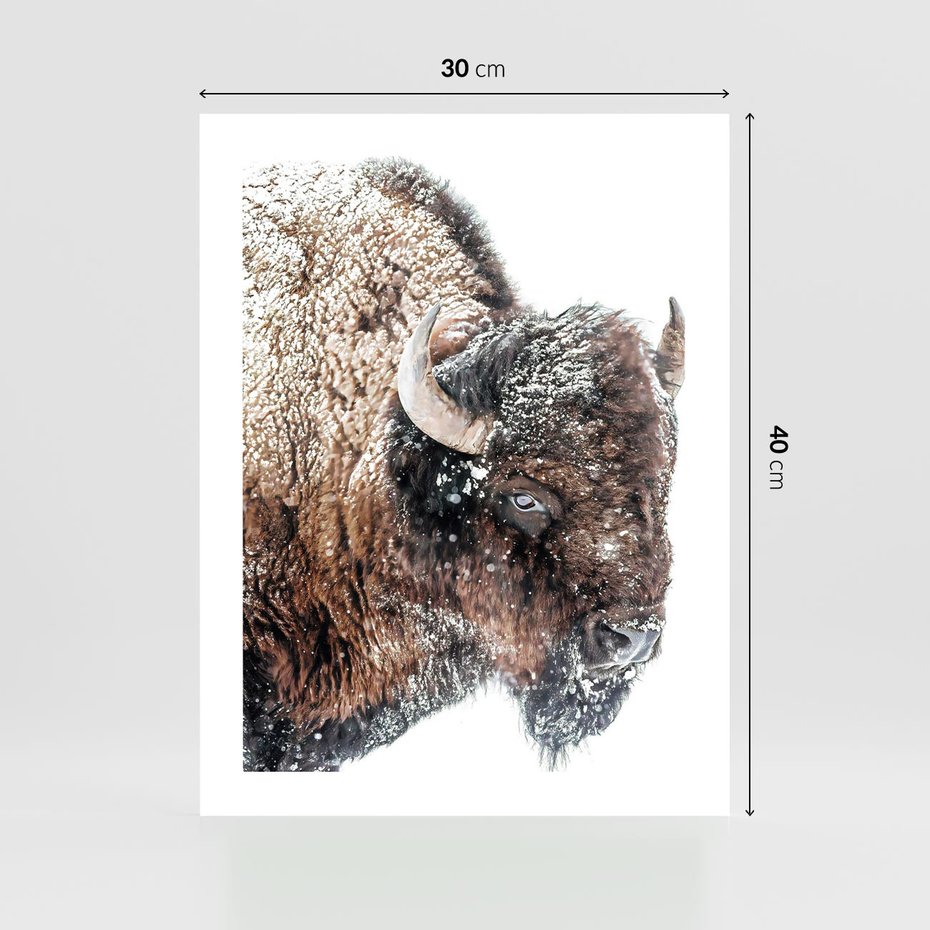 Plakat bez ramy 30x40 - Obraz Dzikiej Przyrody w Śnieżnym Otoczeniu - żubr, śnieg
