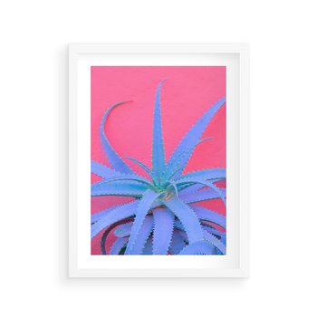Plakat w ramie 50x70 - Piękno Pustyni - kaktusy, liście - rama biała