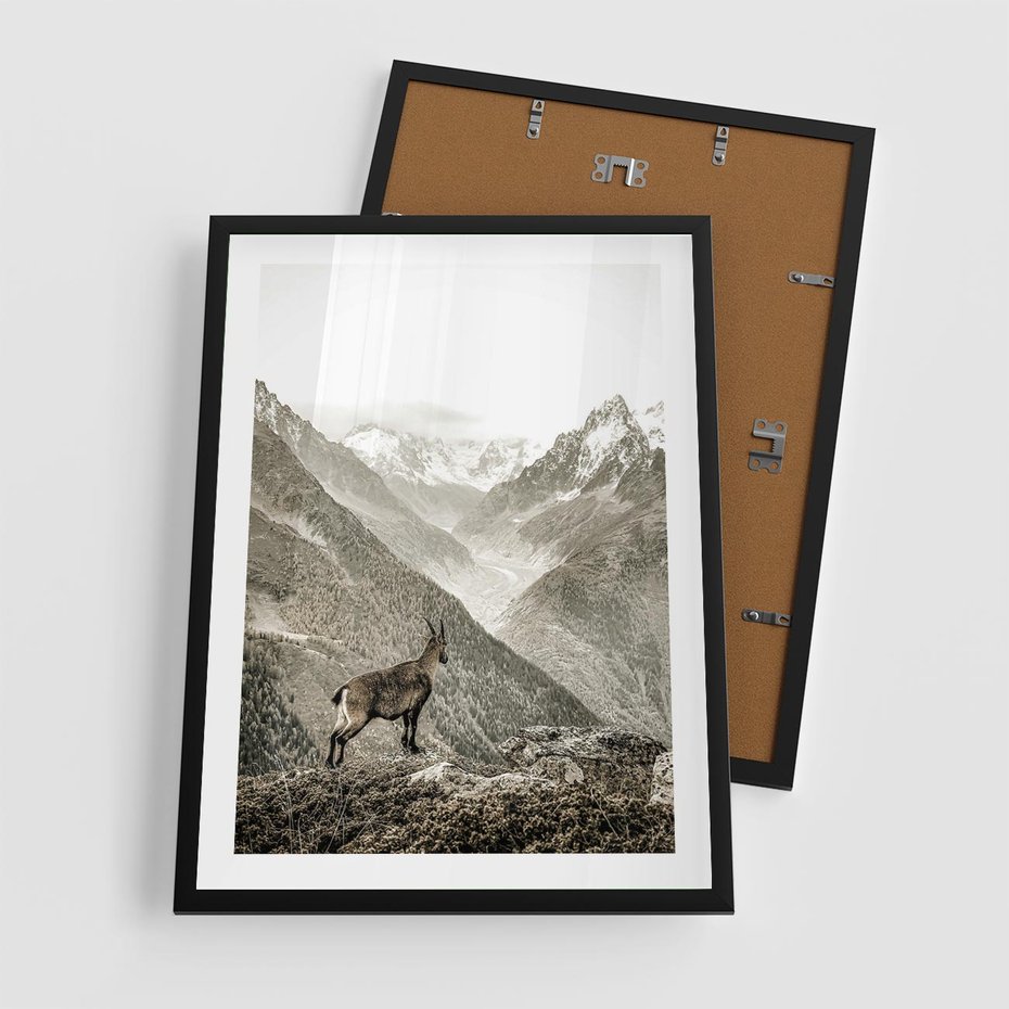 Plakat w ramie 50x70 - Dzikie Piękno: Kozica w Malowniczym Górskim Scenerii - kozica, góry - rama czarna