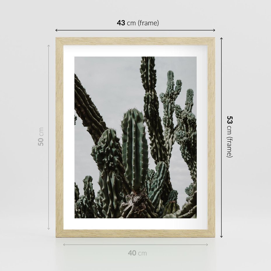 Plakat w ramie 40x50 - Boho oaza wśród kaktusów - kaktusy, pustynia - rama drewno