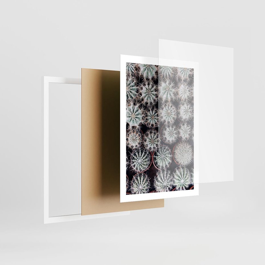 Plakat w ramie 50x70 - Wzór Kaktusów - kaktusy w doniczkach, ujęcie z góry - rama biała