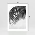 Plakat bez ramy 30x40 - Czarno-Biały Kontrast - czarno białe zdjecie, palma