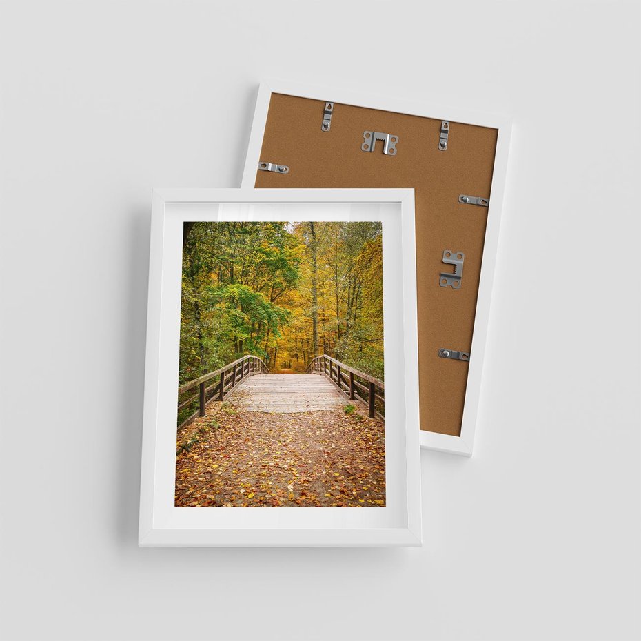 Plakat w ramie 30x40 - Spacer Ścieżką w Las - ścieżka, spacer - rama biała