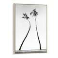 Obraz w ramie 80x120 - Samotne Palmy - czarno biała fotografia, dwie samotne palmy - rama drewno