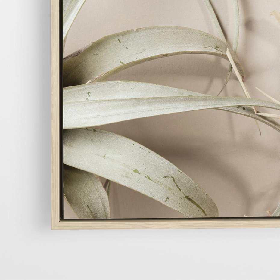 Obraz w ramie 80x80 - Boho urok suchych liści - suche, liście - rama drewno