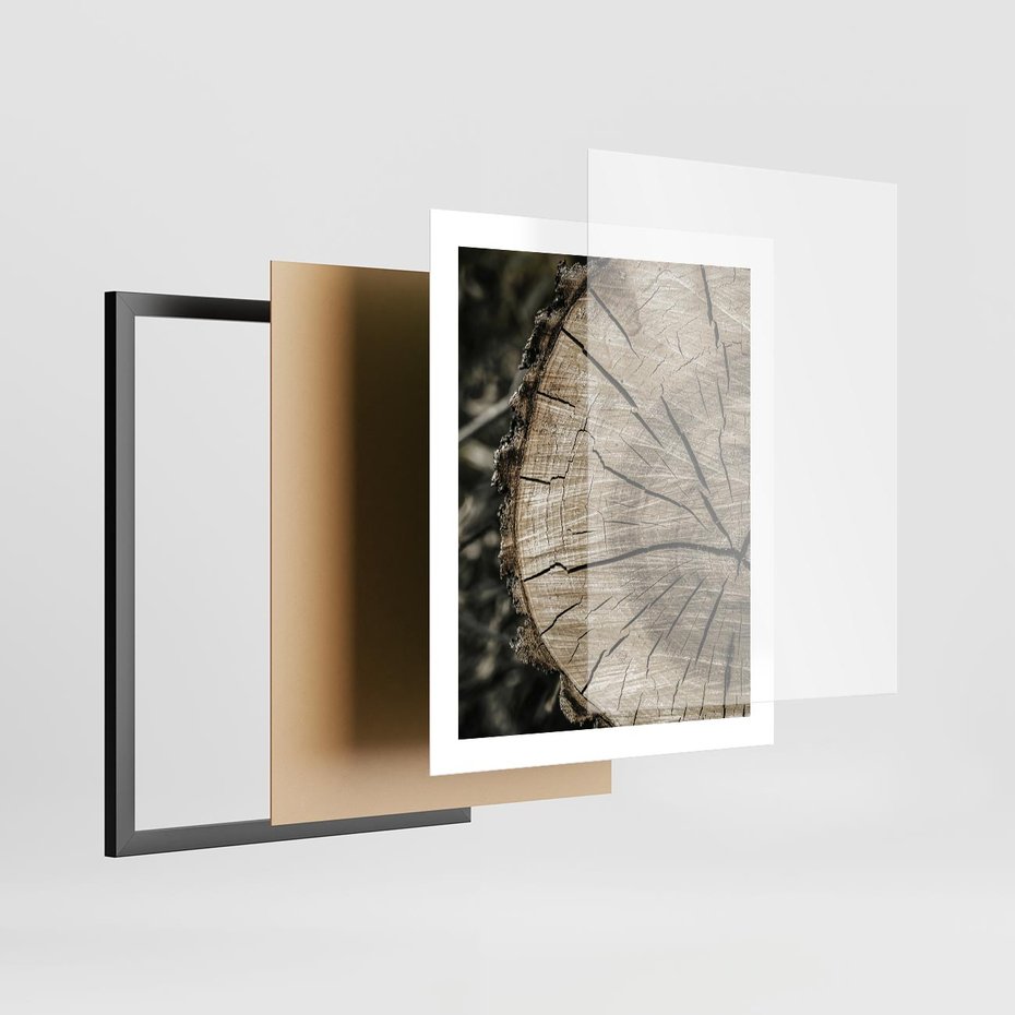 Plakat w ramie 40x50 - Wnętrze Natury - pień, przecięty pień - rama czarna
