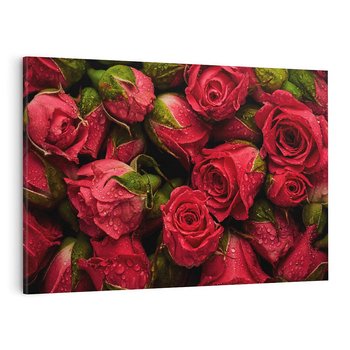 Obraz na płótnie 120x80 - Piękno róż: delikatność natury - róże, kwiaty