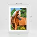 Plakat w ramie 30x40 - Elegancki wierzchowiec - koń, portret - rama biała