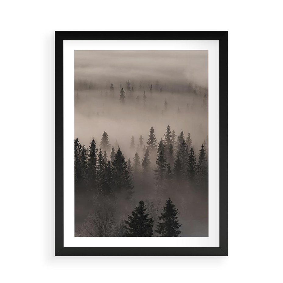Plakat w ramie 50x70 - Mglista Opowieść Lasu - las, mgła - rama czarna