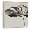 Obraz w ramie 80x80 - Szepczący Liść - szkic, czarno biały - rama drewno