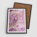 Plakat w ramie 50x70 - Majestat lawendy: fioletowe pola - lawenda, fiolet - rama czarna