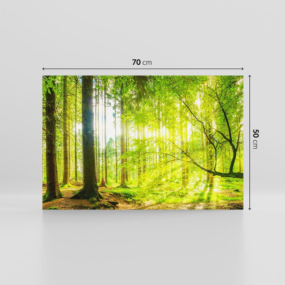 Obraz na płótnie 70x50 - Las w pełnym rozkwicie - las, drzewa