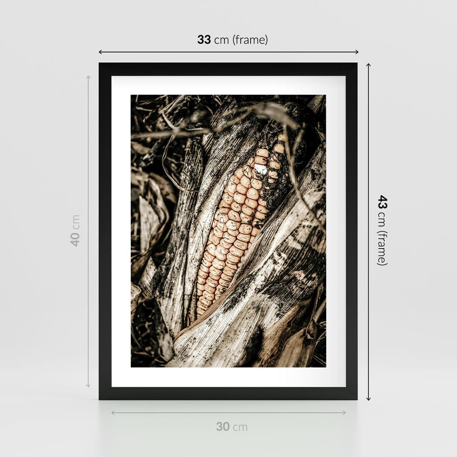 Plakat w ramie 30x40 - Kukurydza w Jesiennej Scenie - kukurydza, jesień - rama czarna
