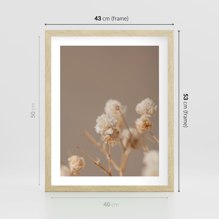 Plakat w ramie 40x50 - Przezroczyste piękno - gipsówka, suche - rama drewno