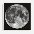 Obraz w ramie 50x50 - Księżycowa Aura - zdjęcie, ogromny księżyc na czarnym tle - rama drewno