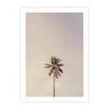 Plakat bez ramy 21x30 - Samotna Palma pod Niebem - samotna palma, na tle nieba