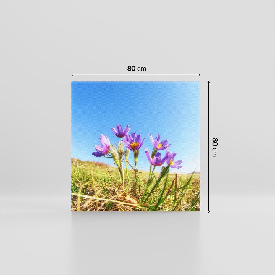 Obraz na płótnie 80x80 - Kwiatowa siła łąki - kwiaty, łąka