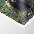 Plakat bez ramy 30x40 - Spotkanie z Niedźwiedziem w Lesie - niedźwiedź, las