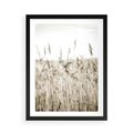 Plakat w ramie 50x70 - Nostalgiczny Pejzaż - suche trawy, pole - rama czarna