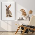 Plakat w ramie 40x50 - Delikatna Zwierzęca Uroda - królik, zwierzę - rama czarna