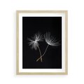 Plakat w ramie 40x50 - Delikatność Wiatru - dmuchawce, makro - rama drewno