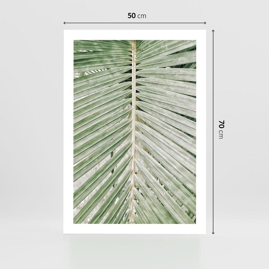 Plakat bez ramy 50x70 - Jasna Zieleń Palmy - liść palmy, zbliżenie