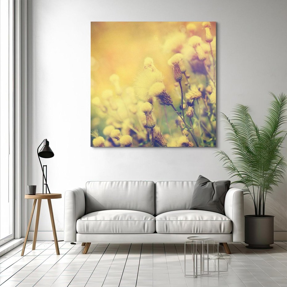 Obraz na płótnie 50x50 - Natura w pełnym rozkwicie - łąka, natura