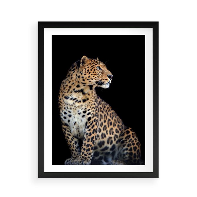 Plakat w ramie 50x70 - Elegancja Jaguarowej Pantery - jaguar, pantera - rama czarna