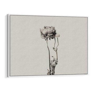 Obraz w ramie 120x80 - Cień Kwiatowej Delikatności - kwiat, cień - rama biała