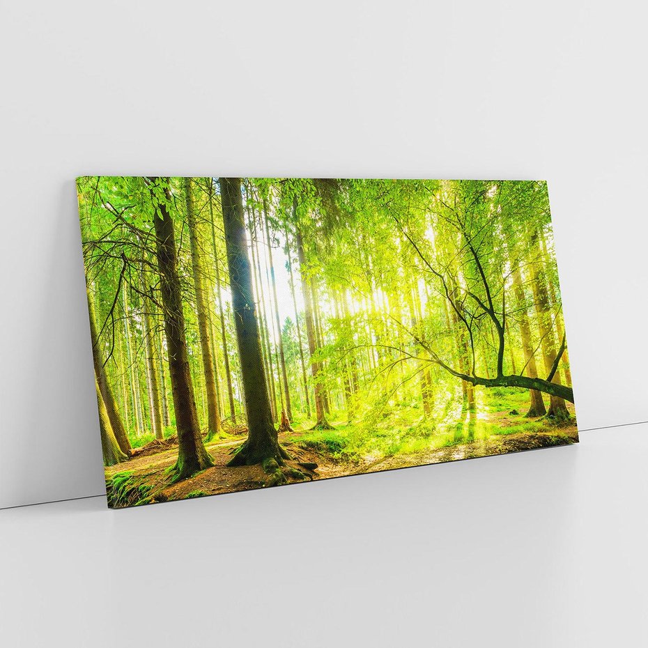 Obraz na płótnie 120x60 - Las w pełnym rozkwicie - las, drzewa