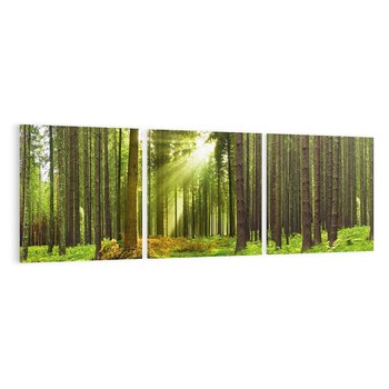 Obraz na płótnie 90x30 - Spokój wśród drzew: las w odcieniach zieleni - las, drzewa