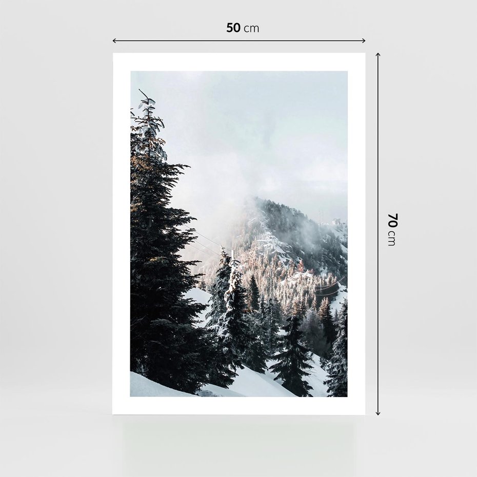 Plakat bez ramy 50x70 - Góry, Las i Śnieg na Obrazie - góry, las