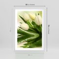 Plakat w ramie 50x70 - Białe Piękno - białe, tulipany - rama biała
